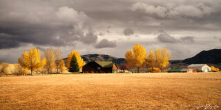 Golden trees and fall landscaping around a red home in the mountains of Colorado.